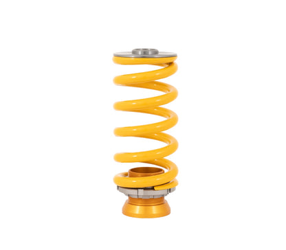 Öhlins Road & Track | Audi | A4 (B9)