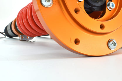 TracTive Track Line (Plug & Play) / BMW / M2 (F87), M3 (F80) and M4 (F82)