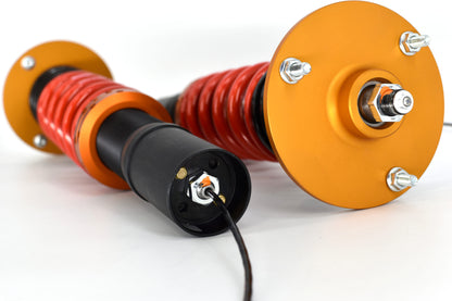 TracTive Track Line (Plug & Play) / Porsche / Cayman/Boxster (987)